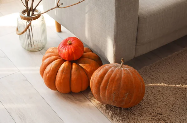 Fresh Pumpkins Sofa Kitchen Closeup — Stock Photo, Image