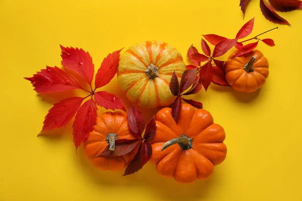 Calabazas Halloween Con Hojas Rojas Sobre Fondo Amarillo —  Fotos de Stock