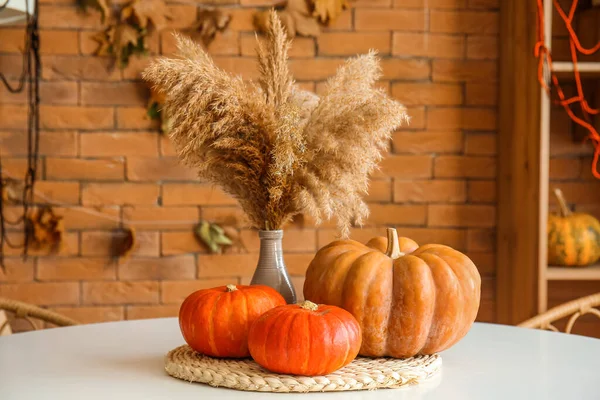 Halloween pumpkins and vase with pampas grass on dining table in kitchen