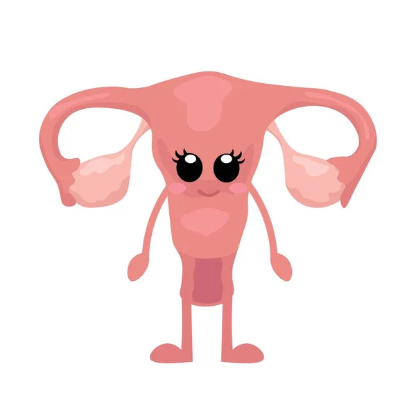 Cute Human Uterus White Background — Stock Vector