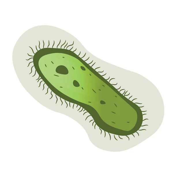 Infusoria Verde Sobre Fondo Blanco — Vector de stock