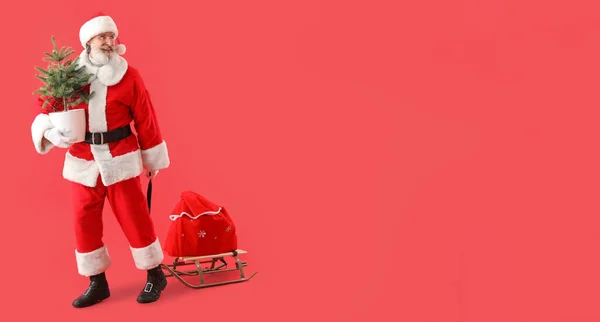 Weihnachtsmann Mit Schlitten Und Weihnachtsbaum Auf Rotem Hintergrund Mit Platz — Stockfoto