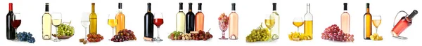Conjunto Diferentes Vinhos Isolados Branco — Fotografia de Stock