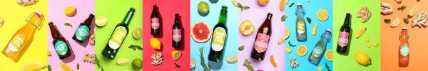 Коллаж Бутылок Свежим Напитком Kombucha Цветном Фоне Вид Сверху — стоковое фото