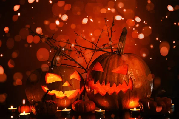 Calabazas Halloween Talladas Velas Encendidas Ramas Árboles Sobre Fondo Oscuro — Foto de Stock