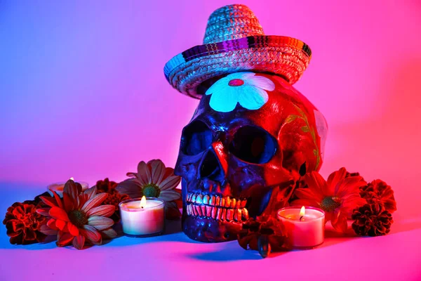 Painted Skull Mexico Day Dead Dia Muertos Sombrero Hat Flowers — Stock Photo, Image