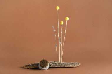 Kahverengi arka planda güzel ikebana ve kenzan ile ağaç kabuğu