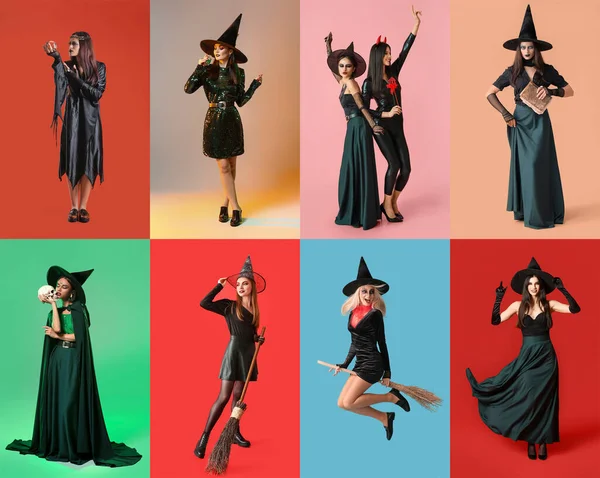 Collage Young Witches Colorful Background — Stock Photo, Image