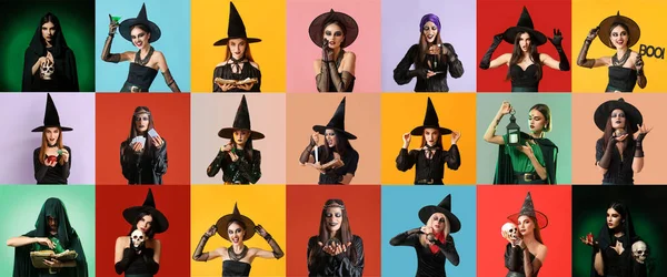 Collage Young Witches Colorful Background — Stock Photo, Image