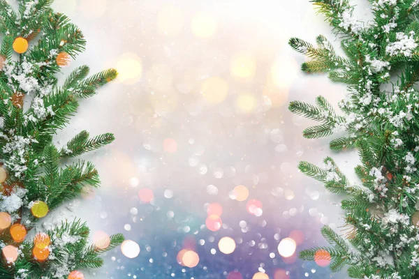 Όμορφα Κλαδιά Χριστουγεννιάτικου Δέντρου Χιόνι Στο Φως Φόντο Θολή Φώτα — Φωτογραφία Αρχείου