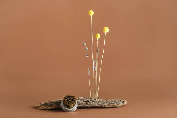 Tree bark with beautiful ikebana and kenzan on brown background