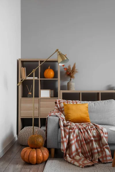Interior Cozy Living Room Pumpkins Sofa Chest Drawers — Stock Photo, Image