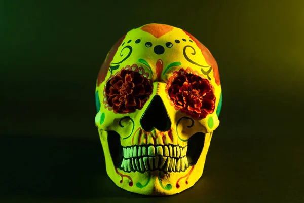 Painted Skull Mexico Day Dead Dia Muertos Flowers Black Background — Stock Photo, Image