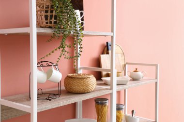 Pembe duvarın yanında yiyecek, ev bitkisi ve mutfak gereçleri olan raflar.