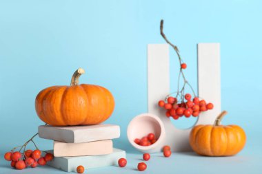 Cadılar Bayramı balkabakları, yabanmersini ve renk arkaplanlı dekor kompozisyonu