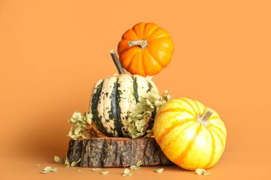 Cadılar Bayramı balkabakları ve arkaplanda kurumuş çiçeklerle kompozisyon