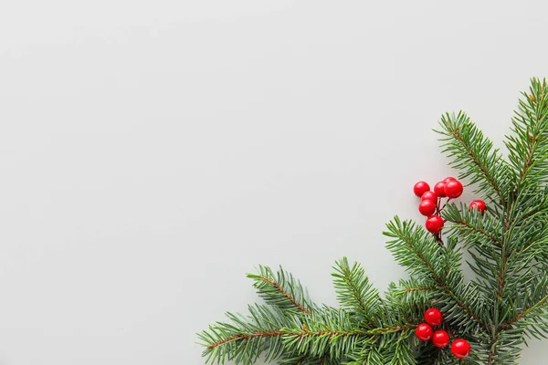 Ramas Navidad Con Serbal Sobre Fondo Blanco —  Fotos de Stock