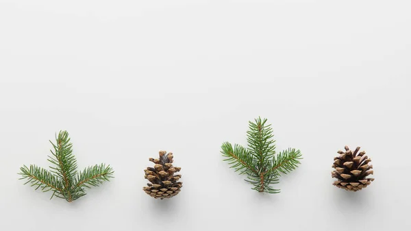 Christmas Branches Fir Cones White Background — Stock Photo, Image