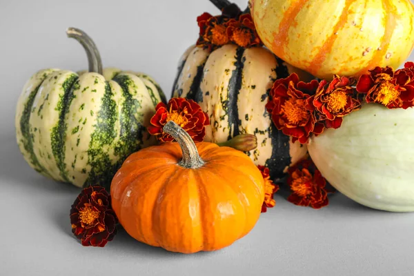 Halloween Pumpkins Marigolds White Background Closeup — Stock Photo, Image