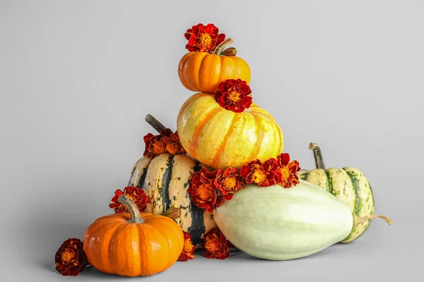 Sammansättning Med Halloween Pumpor Och Vackra Ringblommor Vit Bakgrund — Stockfoto