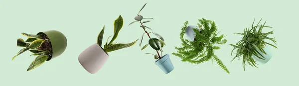 Many Flying Houseplants Green Background — Stock Photo, Image