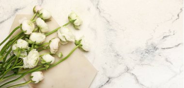 Hafif arkaplan üzerinde narin ranunculus çiçekleri metin için boşluk, üst görünüm