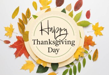 Şükran Günü 'nün güzel tebrik kartı.