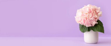 Leylak arkaplan üzerinde güzel ortanca çiçekleri ve metin için yeri olan vazo