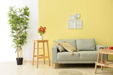 Oturma odasının içinde kanepe ve aile ağacı çerçevesi var.