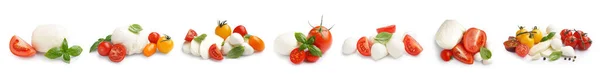 Conjunto Saboroso Queijo Mussarela Com Tomate Manjericão Isolado Branco — Fotografia de Stock