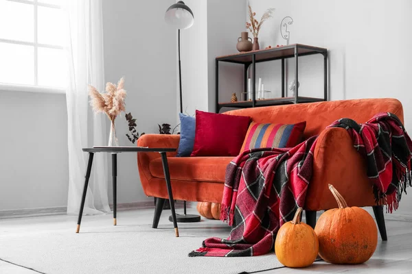 赤いソファ テーブル カボチャ付きのリビングルームの秋のインテリア — ストック写真