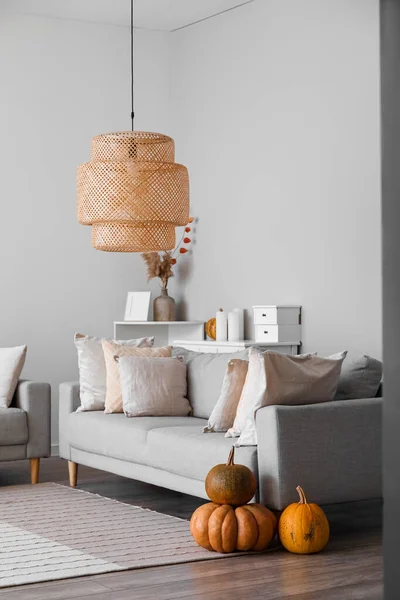 Interior Light Living Room Grey Sofa Pumpkins — Stock Photo, Image