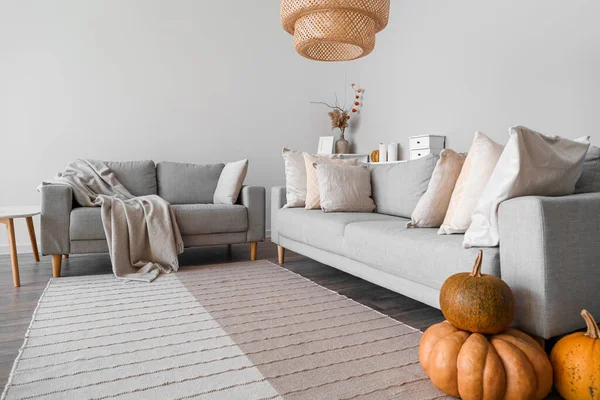 Interior Light Living Room Grey Sofas Pumpkins — Stock Photo, Image