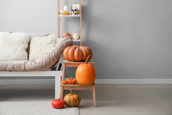 Stepladder Med Halloween Pumpor Och Soffa Vardagsrummet — Stockfoto