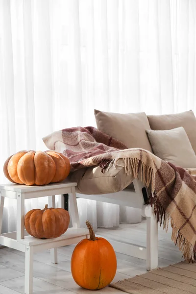Stepladder Halloween Pumpkins Couch Light Curtain — Stock Photo, Image
