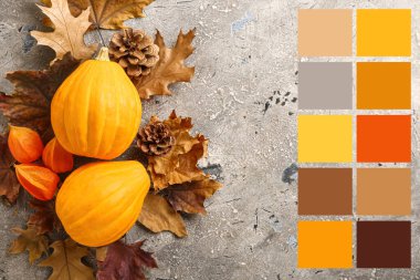 Sonbahar kompozisyonu, arka planda balkabakları var. Farklı renk desenleri