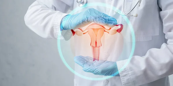 Gynekolog Och Kvinnliga Könsorgan Virtuell Skärm Mot Grå Bakgrund — Stockfoto