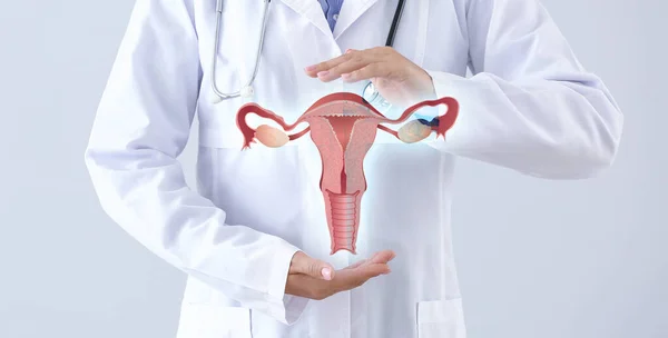 Ginecólogo Órganos Reproductores Femeninos Pantalla Virtual Contra Fondo Luz — Foto de Stock
