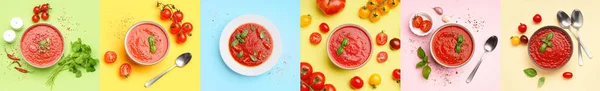 Collage Van Kommen Met Lekkere Tomatensoep Kleur Achtergrond — Stockfoto