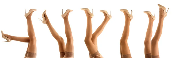 Πολλά Πόδια Από Όμορφες Νεαρές Γυναίκες Μπεζ Κάλτσες Απομονωμένες Λευκό — Φωτογραφία Αρχείου