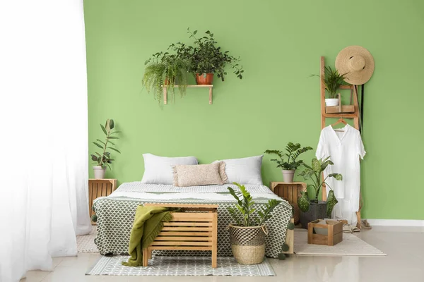観葉植物と緑の壁とモダンなベッドルームのインテリア — ストック写真