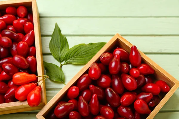 Caixas Madeira Com Maduro Vermelho Dogwood Bagas Folhas Cor Fundo — Fotografia de Stock