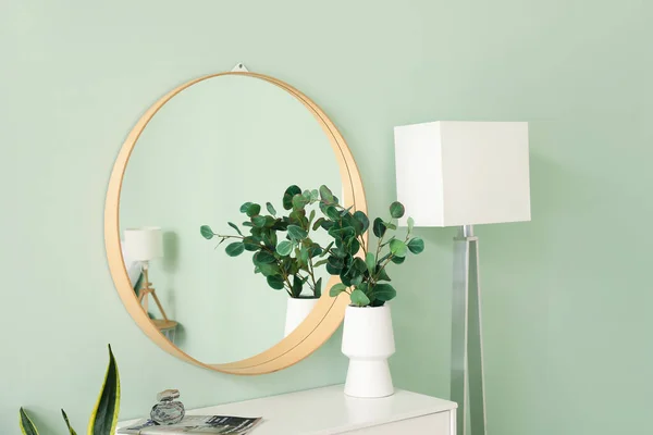 Βάζο Ευκάλυπτο Συρταριέρα Και Καθρέφτη Κοντά Πράσινο Τοίχο — Φωτογραφία Αρχείου