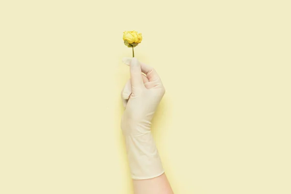 色の背景に花を保持医療手袋の女性医師 — ストック写真