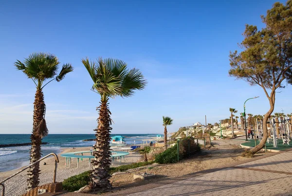 View Beach Palms Sunny Day — Stock Photo, Image