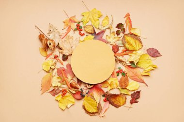 Renk arkaplanında boş kart ve sonbahar yaprakları olan kompozisyon