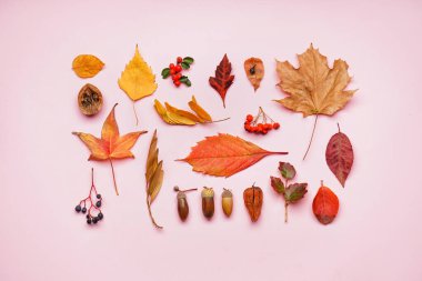 Pembe arka planda doğal orman dekoru olan kompozisyon