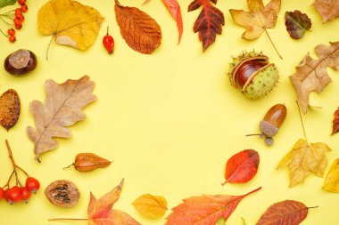 Sarı arka planda farklı doğal orman dekorlarından yapılmış çerçeve