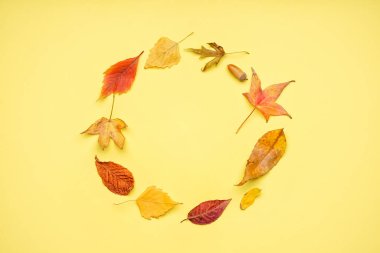 Sarı arkaplanda güzel sonbahar yapraklarından yapılmış çerçeve