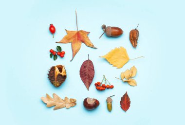 Mavi arka planda doğal orman dekoru olan kompozisyon